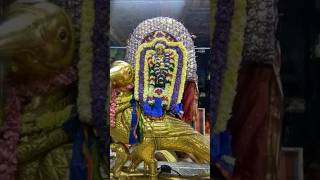 Thirunallar Festival Bramothsuva Dharisanam Full Details#Saneshwaran#shivan #devotional #trending