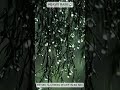 Heavy Rain for Insomnia 😴 Rain Sounds ASMR — Fall Asleep Now #shortsfeed #raintherapy #rain #relax