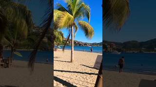 Disfrutando del clima tropical 🌴 #mexico #ixtapazihuatanejo #playa