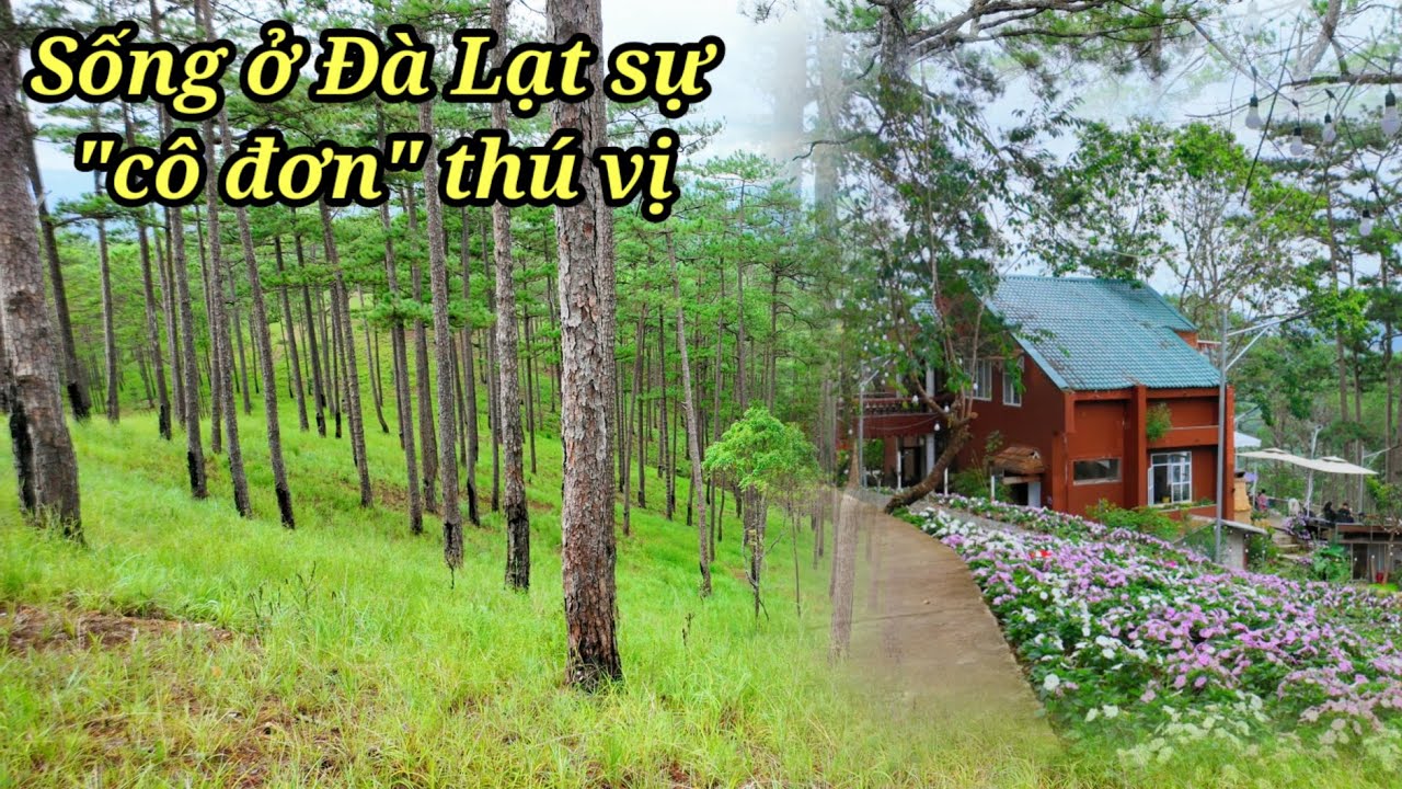 Rất thú vị khi sống ở Đà Lạt không sợ buồn và cô đơn.