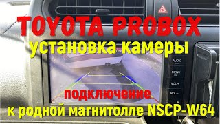 Toyota Probox подключаем камеру заднего вида к японской магнитоле NSCP-W64