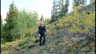 Peak Performance Wealth