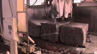 Grace in Granite