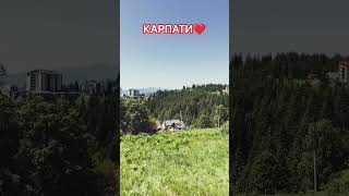 Карпати закохують❤️ #українськамузика #карпати #новамузика #music #слухайукраїнське