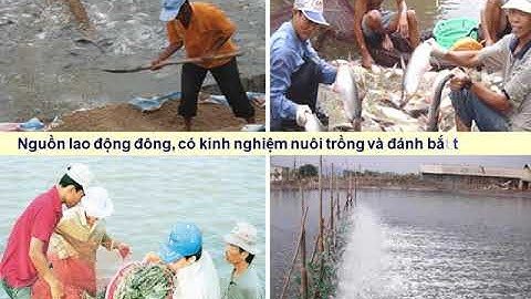 Bài 37 Địa 9 ngắn nhất