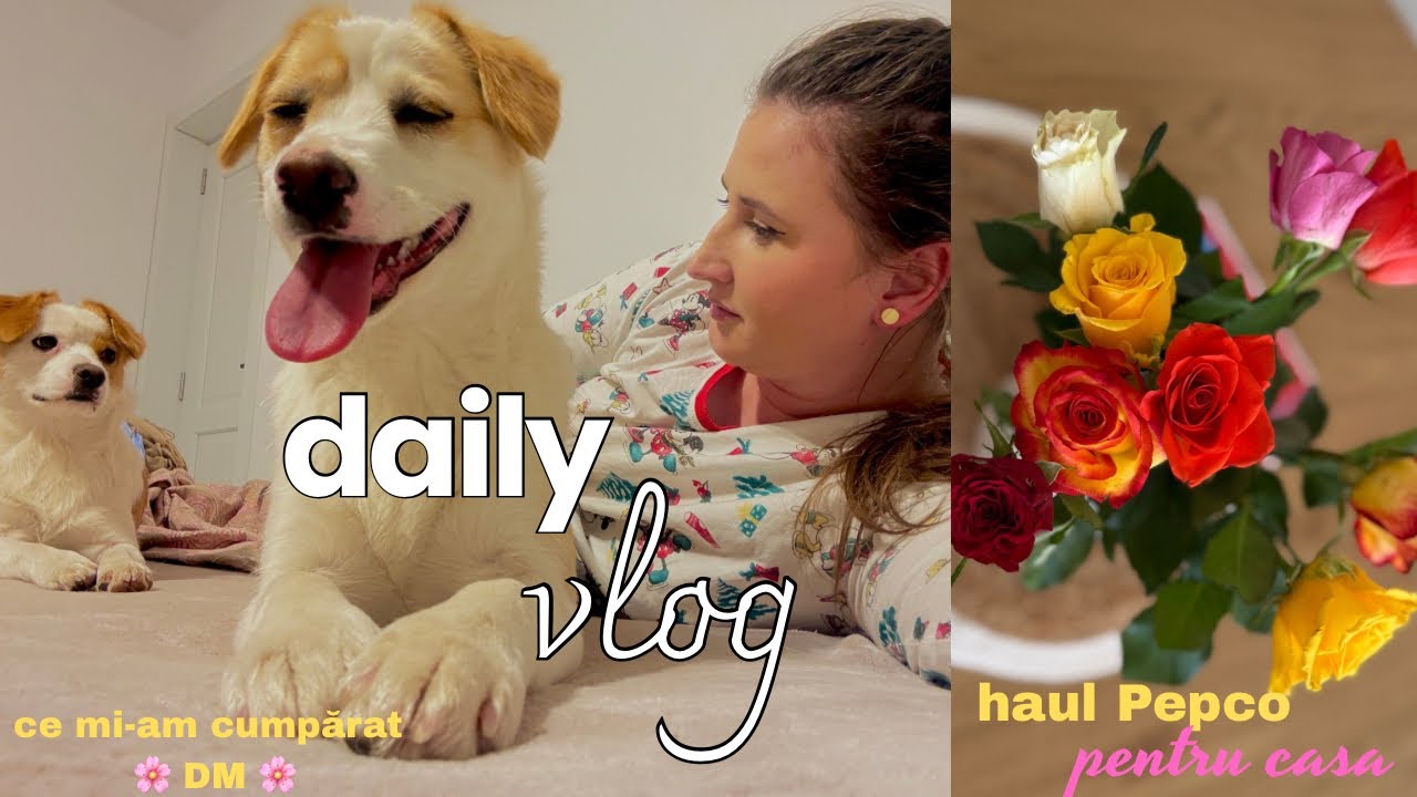 Daily Vlog || Cumpărături Alimentare + Produse Utile pentru Casă și Curățenie 🛒🏡🧽