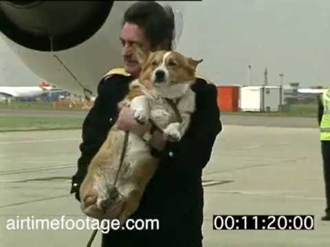 Queen With Corgis At Heathrow Timecoded Rushes