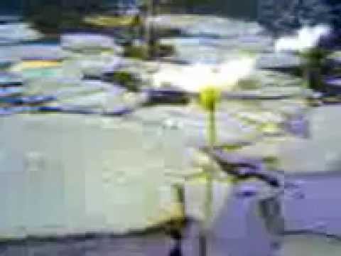 barragem aguieira Vídeo0027.3gp Planta aquática do RS-2011