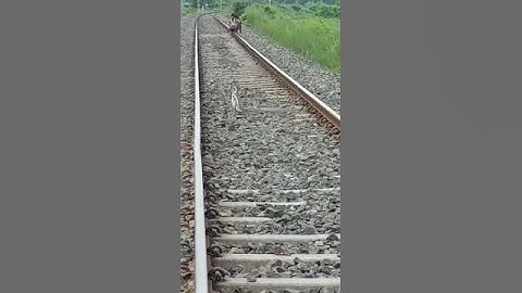 snake on railway track
