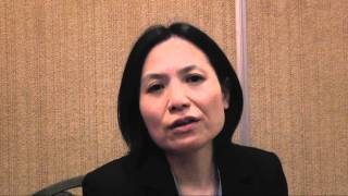 IDT & IIMSS 2010 - Prof Mika Sato-Ilic