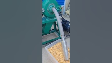 Self-Priming Corn Grinder | 200–1000kg/h | Multiple Screen Sizes