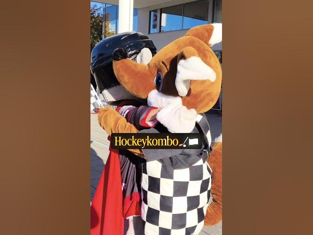 youtube video converter, video convert online