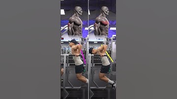 Dips - KNOW THE DIFFERENCE!