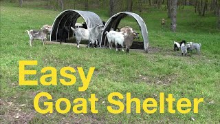 Easy DIY Goat Shelter