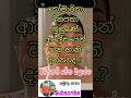 කෝමාරිකා දිනපතා ආලේපයෙන් සිදුවිය හැකි හානි 😱😱 #AloeVera #කෝමාරිකා #SkinCare#FaceCare#viral #shorts