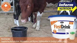 First Drink - For Freshly Calved Cows