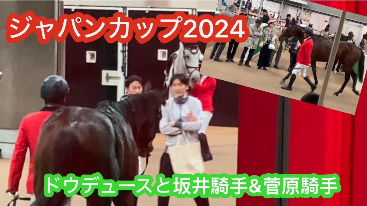 ジャパンカップ2024 ドウデュース🏆武豊騎手　おドウを見つめる坂井瑠星騎手&菅原明良騎手