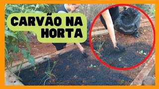 Use Carvão em Sua Horta e Se Surpreenda com o Resultado