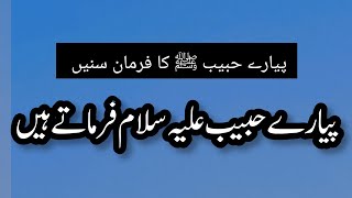 nabi pak ﷺ ne irshad farmaya | peer ajmal raza qadri | emotional status | islamic status hadees