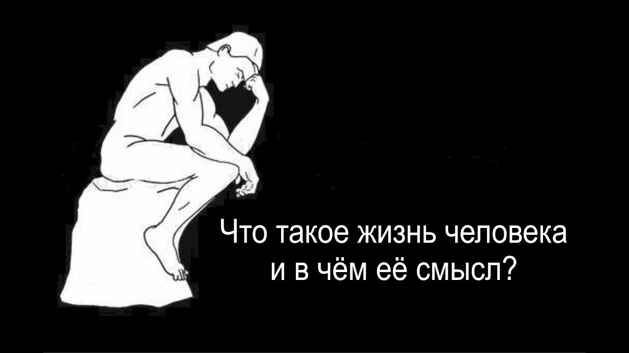 Ты мыслитель: Что такое жизнь и в чём её смысл? - YouTube