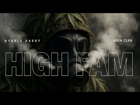 HYBRID-HARRY 1