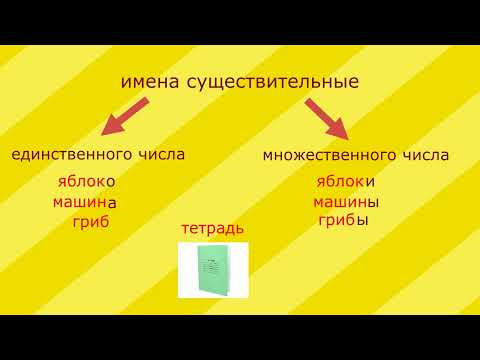 Единственное и множественное число имён существительных