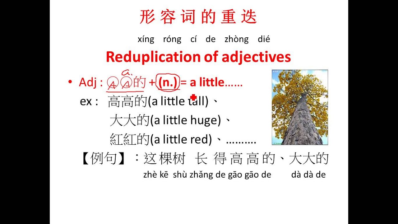 Integrated Chinese Level1 L12grammar 形容词的重迭aa式reduplication Of Adjectives Youtube