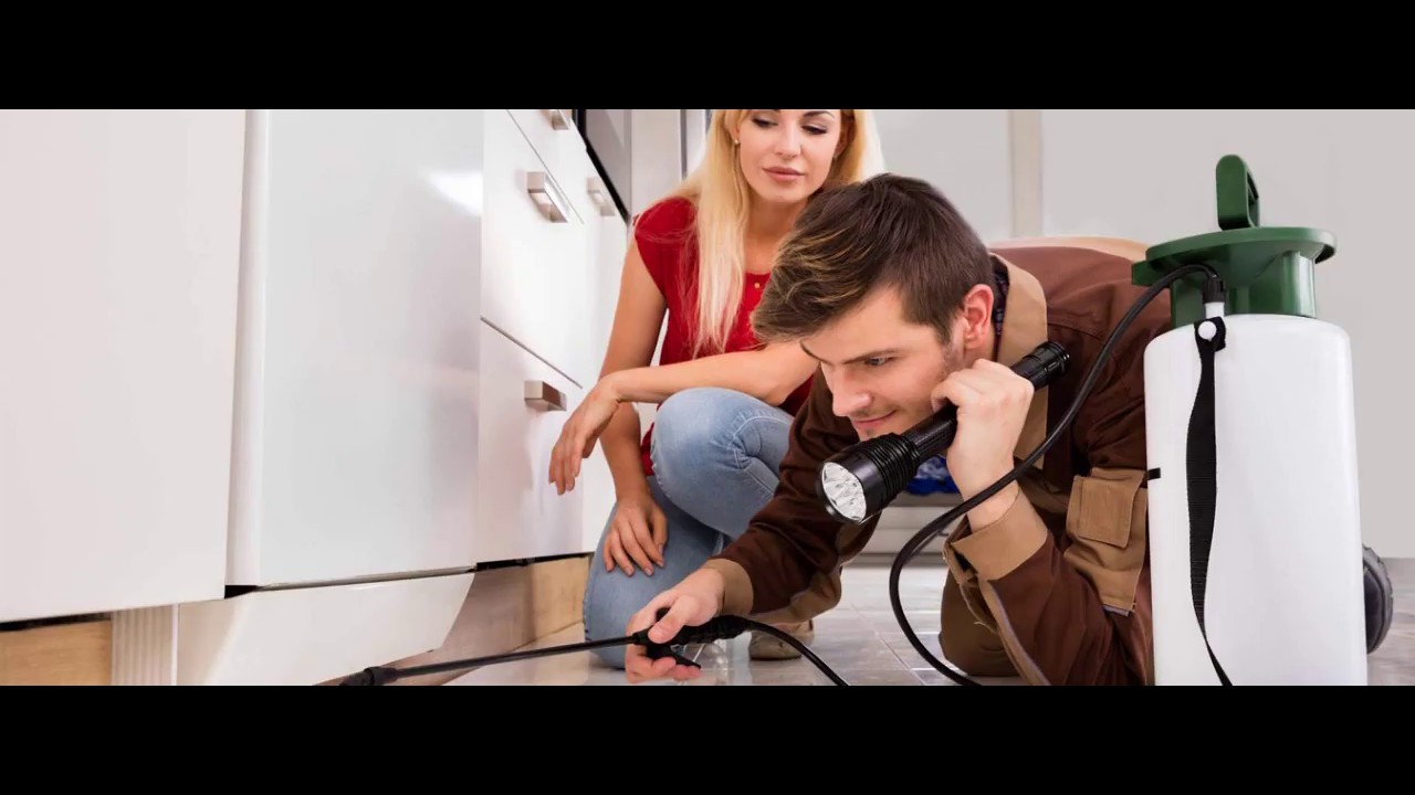 ASM Pest Control | Pest Control Services | 604-589-5403