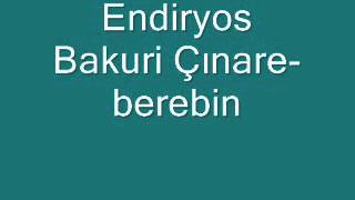 Endiryos Bakuri Çınare