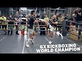 Sparring egyptian pro fighters 6x kickboxing world champion