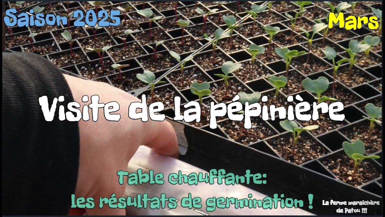 Québec | Visite MARS 2025 | Résultats de germination des TABLES CHAUFFANTES / + projets à venir!