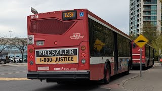 TTC Orion VII NG Diesel 8136 on Route 123F Sherway to Sherway Mall