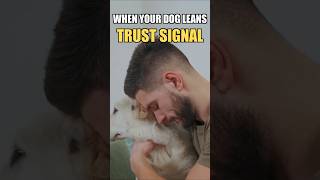 Why Does My Dog Lean on Me? (Most Owners Get It Wrong)