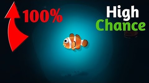 How to Catch Clown Fish in Creature of the Deep(100%)