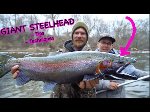 HUGE Steelhead (Trout Float Fishing) 