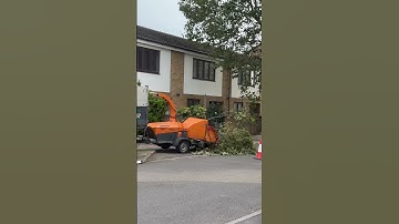 Tree Shredding 🌳 | #autismlifeuk #shorts #short #youtubeshorts