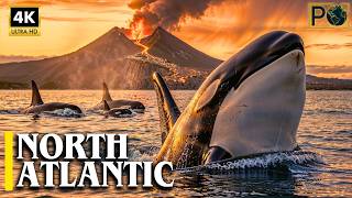 NORTH ATLANTIC: The Ocean Where Nature Breaks All Rules | 4K Travel Documentary