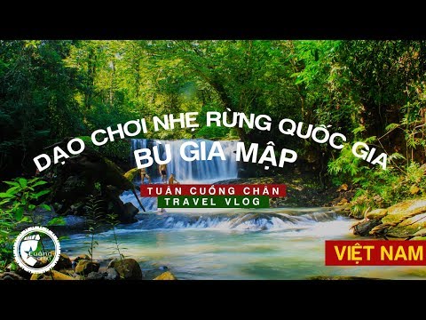 Video Trekking nhẹ rừng quốc gia Bù Gia Mập - youtube