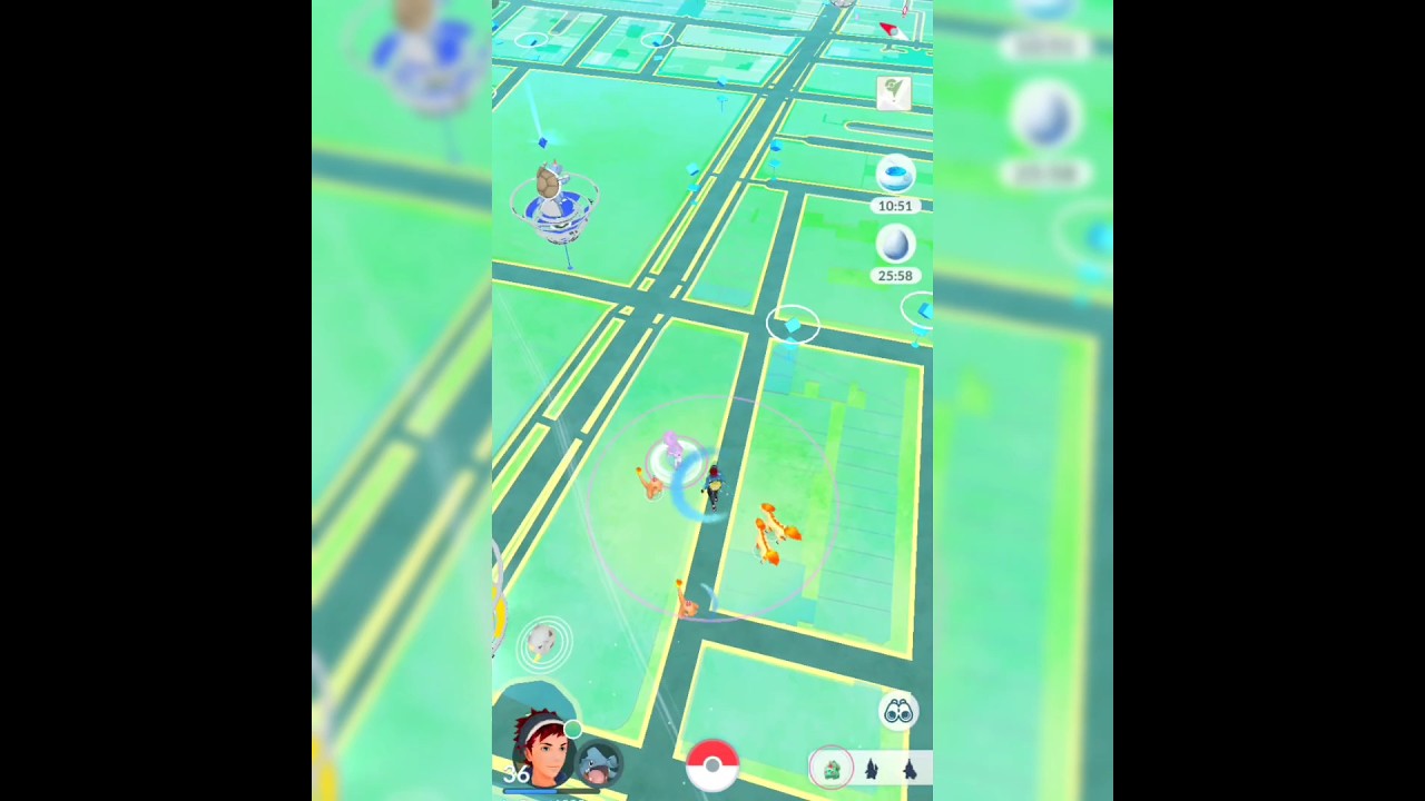 I Catch Cutest Pokemon in Pokemon Go 