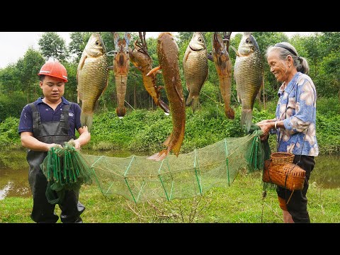 3個籠子1個網，捉4斤魚2斤蝦，做一頓簡單的家常野味Grandma catches lobster and fish for a delicious traditional meal｜ 美食｜玉林阿婆