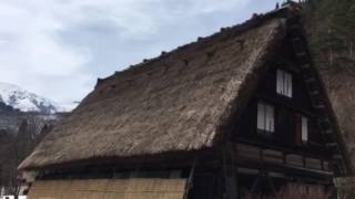 zushi et yokohama 20170410-2