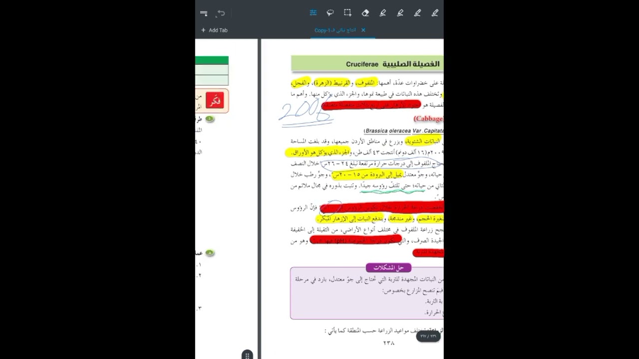 الفصيلة الصليبية 