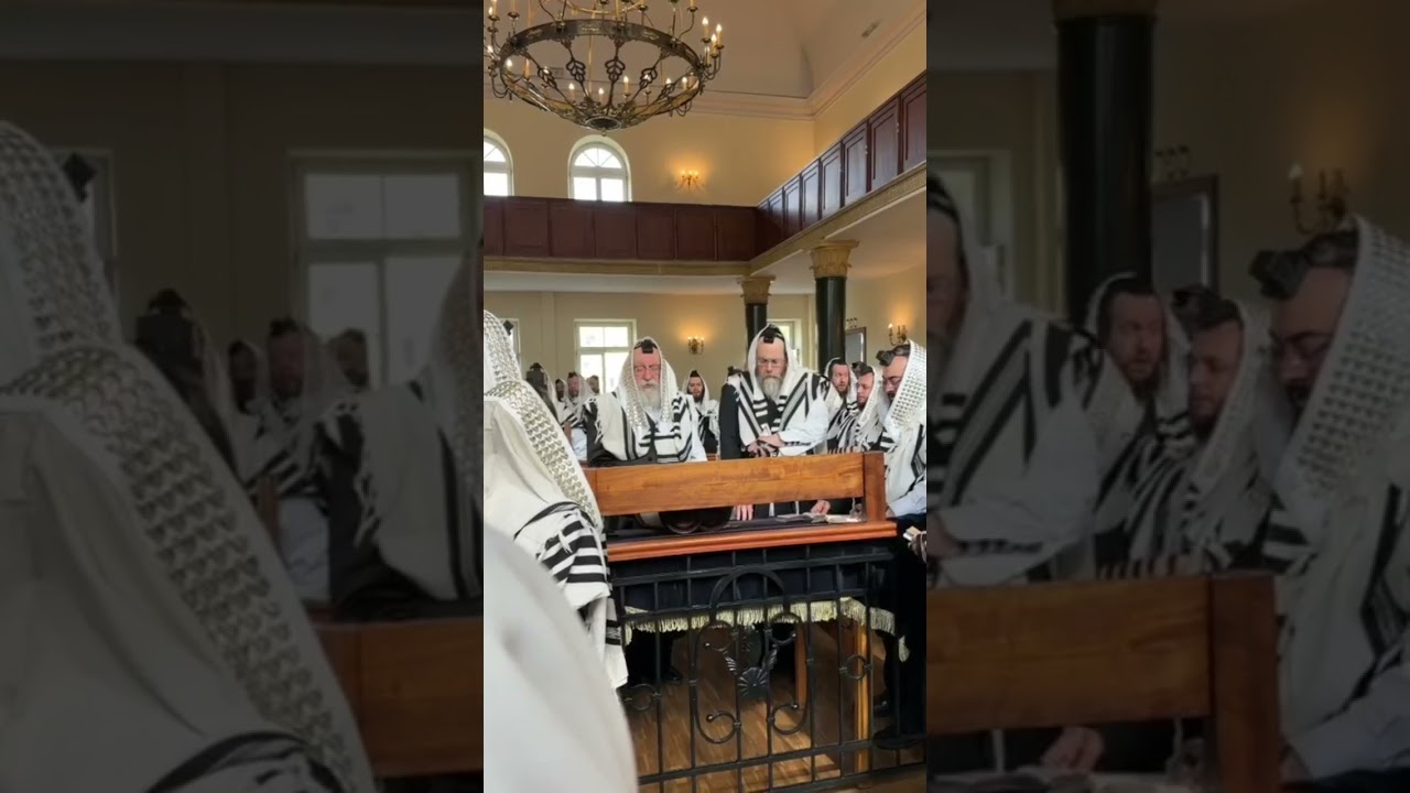 נחלת הבונים וויען: כ''ק מרן אדמו''ר שליט''א בברכת הגומל בבית המדרש של ישיבת חכמי לובלין - ה אמור פ"ו