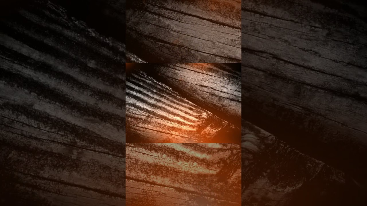 DIY Wedding Arch For Cheap 