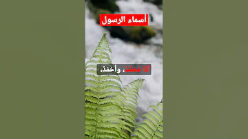 أسماء الرسول 