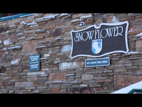 Snow Flower 2013 V2