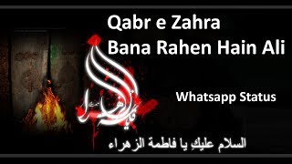 Qabr e Zahra Bana Rahen Hain Ali - Whatsapp Status