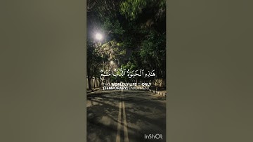 اكتب شيء تؤجر عليه ❤️ 😴 🎧/ القارئ محمد صديق المنشاوي