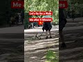 Let‘s go for a walk 🐶/ #shortsvideo #shortvideo #shortsfeed #shorts #short #shortsviral #shots #fyp