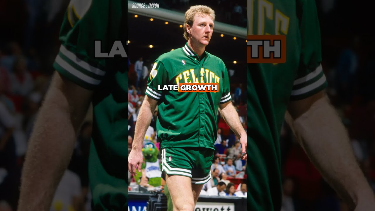 Was Larry Bird S Height The Real Secret Sauce 